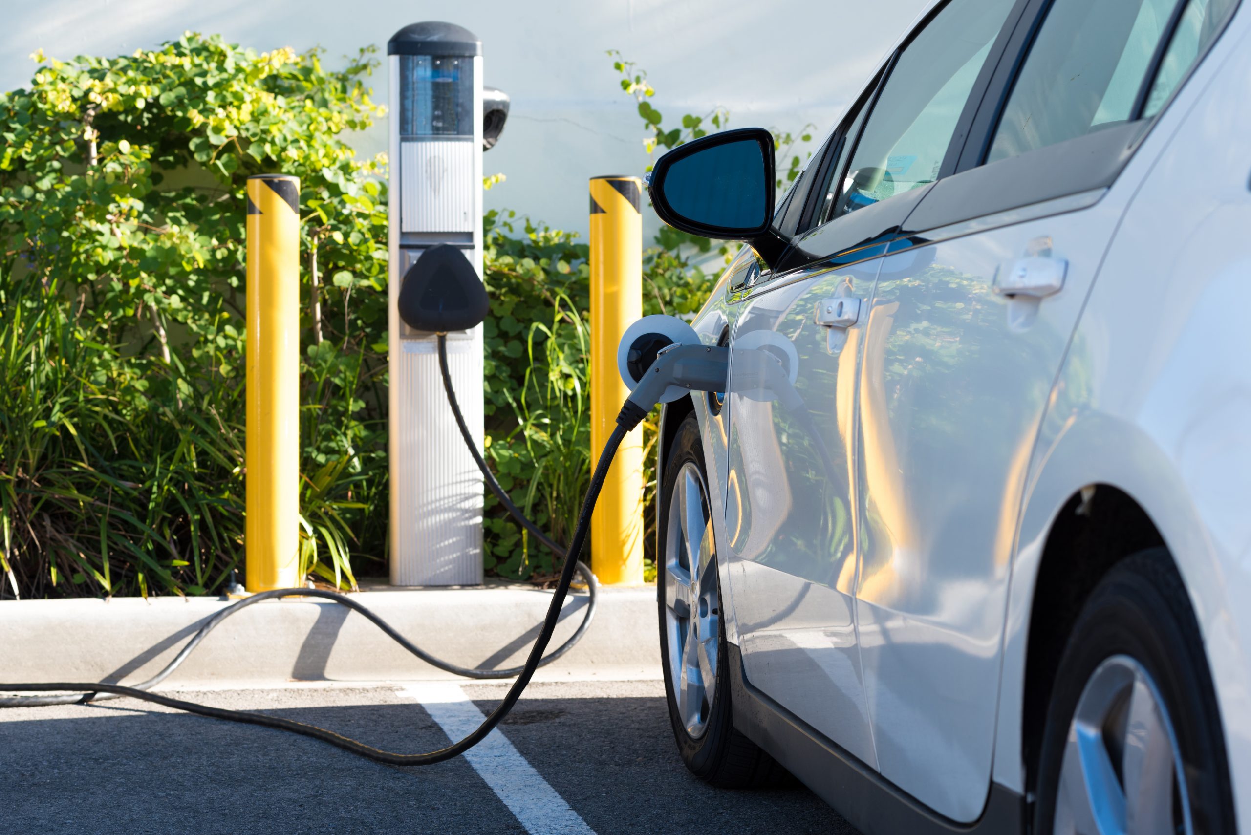 Electric and Hybrid Vehicles: The Future of Business Transportation