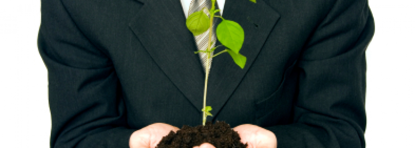 Business Insurance Start-ups – Are You Ready for Take-off?