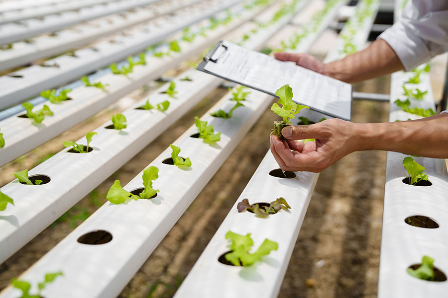 Agricultural Insurance plants