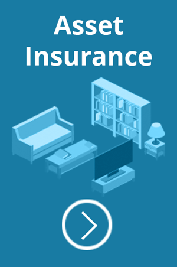 Asset Insurance